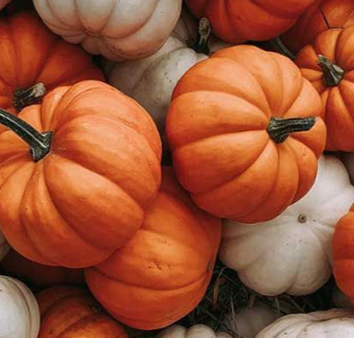 Smells Like Fall
