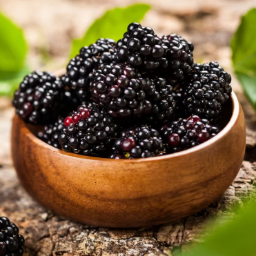 Midnight Blackberry