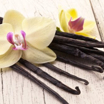 Vanilla Orchid