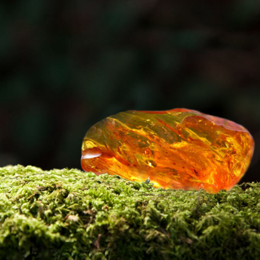 Amber &  Oakmoss