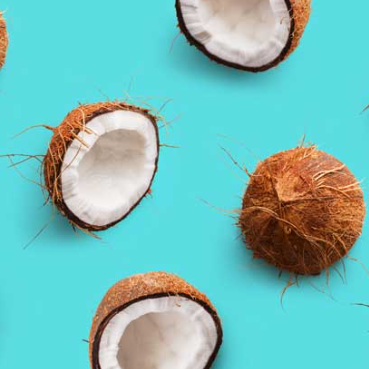Bamboo Coconut