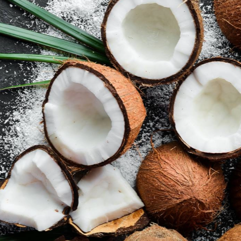 Bamboo Coconut